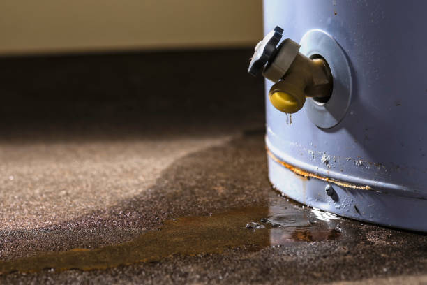 Best Water damage contractors near me  in Montgomery, GA