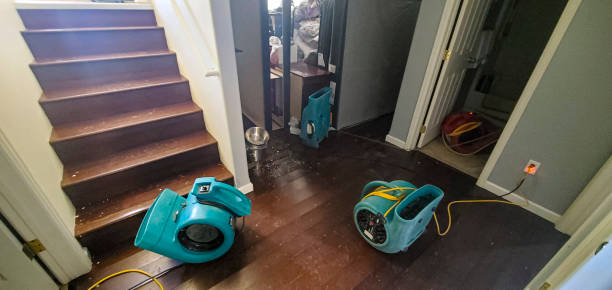 Best 24/7 water damage repair  in Montgomery, GA