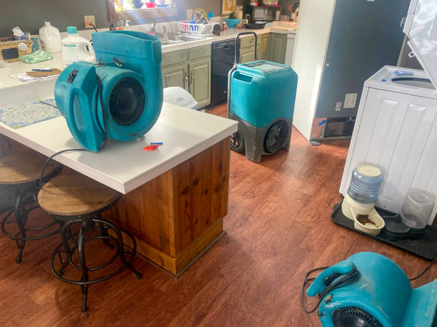 Best Professional water damage repair  in Montgomery, GA