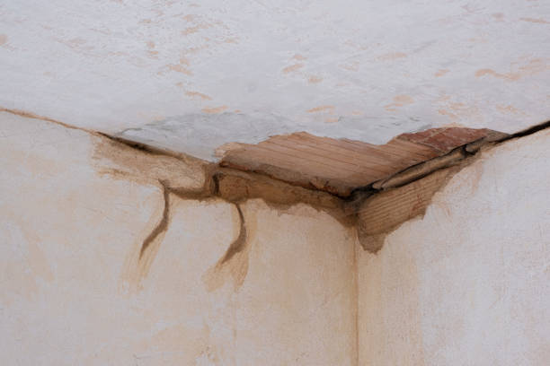 Best Water damage contractors near me  in Montgomery, GA