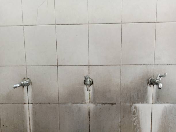 Best Water damage cleanup near me  in Montgomery, GA