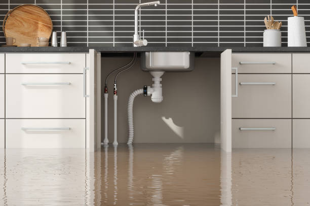 Best Emergency water extraction  in Montgomery, GA