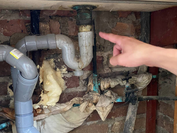 Best Water damage restoration near me  in Montgomery, GA