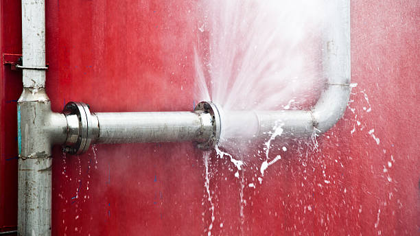 Best Flood restoration services  in Montgomery, GA