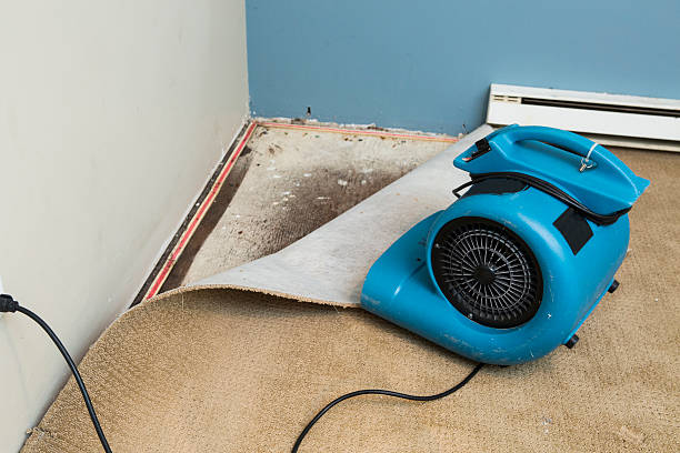Best Carpet water damage restoration  in Montgomery, GA